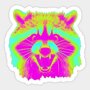 Raccoon Sticker